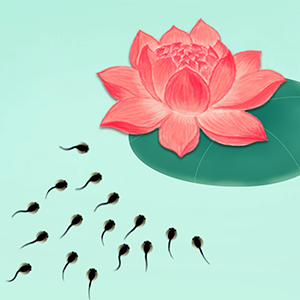 Little Tadpole Fooking for Mom