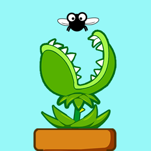 Venus Flytrap
