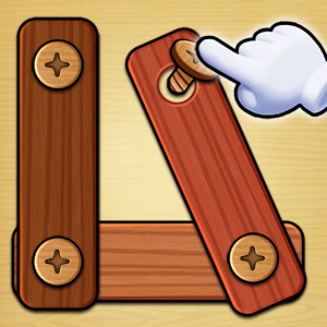 Wood Screw Puzzle